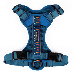 Wilderdog Lightweight Harness front view in Pacific Blue for daily walks.
