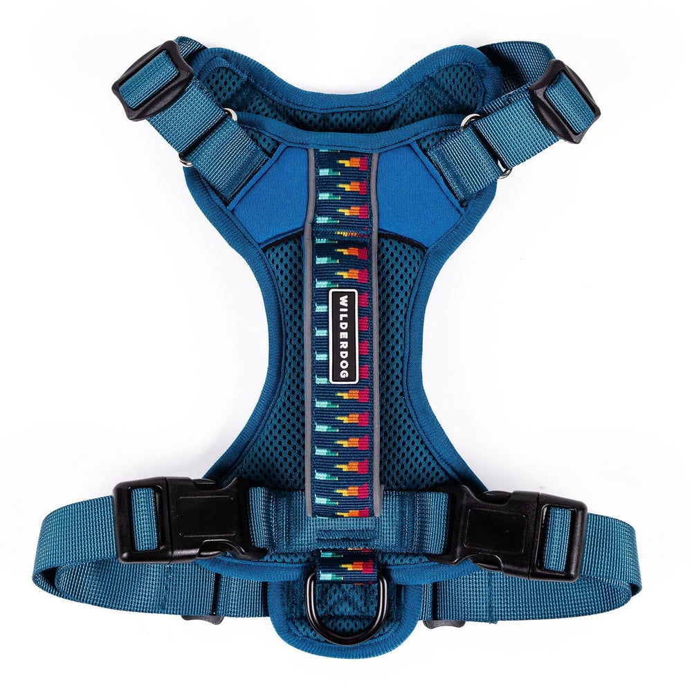 Wilderdog Pacific Blue harness overhead view showing easy head-over-fit and lightweight comfort.