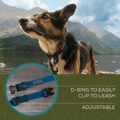 Wilderdog Pacific Blue dirt repellent detail on collar