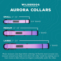 Wilderdog Aurora waterproof collar closeup on buckle shows sturdy hardware.