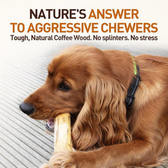 Wildfang Coffee Tree Sticks for Dogs showing natural material and texture.