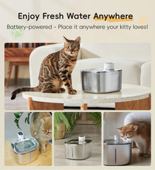 WILKIEE fountain 4.1L capacity for long-lasting hydration.