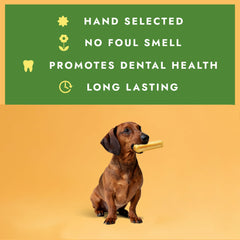 William Hunter yak cheese dog chew shown lasting through chewing sessions, ideal for aggressive chewers.
