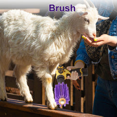 Willinglong two-brush grooming kit supports daily care and show prep.