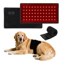 Wind in Hand red light therapy belt on a dog's back for potential pain relief