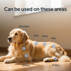 Wind in Hand wearable pet strap demonstrates adjustable fit for back or joints