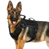 Wingoin black tactical dog harness front view with quick-release buckles for easy fitting