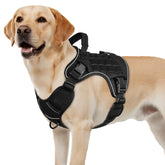 WINGOIN black tactical dog harness for large dogs, secure fit for daily walks.