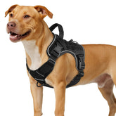 WINGOIN Black Tactical Dog Harness Medium, front view showing secure fit for daily walks.