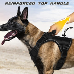 WINGOIN harness with handle and D-rings for controlled training sessions.