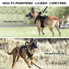 WINGOIN reflective strip harness aiding evening visibility during walks.