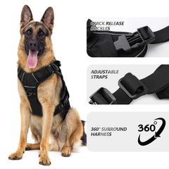 WINGOIN Medium harness side view demonstrates comfortable mesh lining and two-point control.