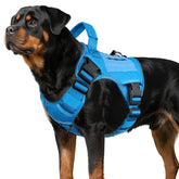 WINGOIN blue tactical dog harness, front view, built for secure hiking and daily walks.