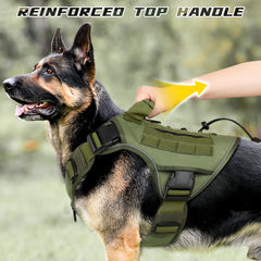 WINGOIN harness with two D-rings and sturdy handle for control