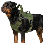 WINGOIN Green Tactical Dog Harness front view showing durable construction for outdoor use
