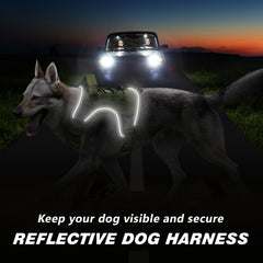 WINGOIN small-dog harness interior mesh keeps dog comfortable during daily walks.