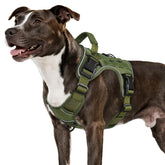 WINGOIN green tactical harness side view shows durable build for outdoor walks.