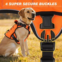 Wingoin orange tactical harness with two D-rings for control during training.