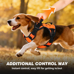 WINGOIN orange tactical harness with two D-rings for versatile leash options