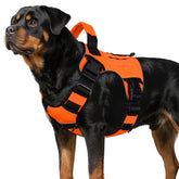 Wingoin Orange tactical dog harness main view showing secure fit.