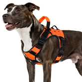 WINGOIN orange tactical harness side view for quick on-off and secure fit