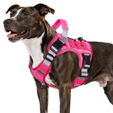 WINGOIN pink tactical harness side view for easy on/off and no-pull training.