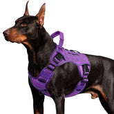WINGOIN Purple Tactical Dog Harness with Handle for secure daily walks