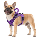 Wingoin Purple Tactical Harness for small dogs with secure fit and durability.