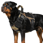 WINGOIN tactical dog harness camo xl front view showing secure fit for large breeds.