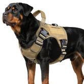 WINGOIN Tactical Harness front view, durable for large breeds