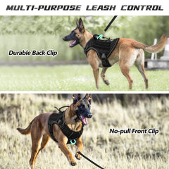 Wingoin harness with handle and two D rings for controlled walking and training