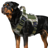 WINGOIN tactical harness XL with sturdy chest straps for outdoor hikes.