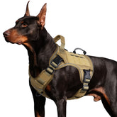 WINGOIN tactical dog harness large side-entry view, easy on and no-pull design for quick leash fits.