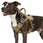 WINGOIN tactical dog harness medium fit for daily walks and hiking