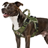 WINGOIN tactical dog harness in green camo front view for medium dogs, breathable mesh interior