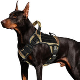 WINGOIN tactical dog harness side-dressing for quick on/off and no-pull control