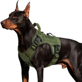 WINGOIN tactical dog harness side-entry design with quick-release buckles for easy on-off
