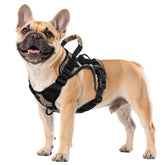 Wingoin tactical dog harness small camo front view showing control during walks