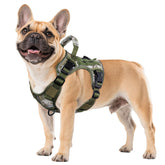 WINGOIN Tactical Harness for small dogs showing side-entry buckle design for easy on off