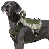 Wingoin tactical dog harness XXL camouflage on a large breed for hiking comfort.