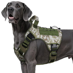 Wingoin tactical dog harness XXL camouflage on a large breed for hiking comfort.