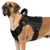 Wingoin Tactical Harness front view shows rugged 1000D nylon durability for large breeds