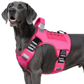 WINGOIN tactical harness front view with secure pink fit for large dogs