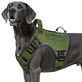 WINGOIN tactical harness XXL overview for large breeds with durable construction