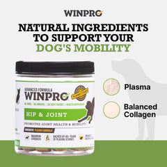 WINPRO collagen soft chews closeup texture highlights tasty, grain-free formula for daily use.