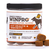 WINPRO Dog Gut Health Chews bottle front promoting daily gut support for dogs
