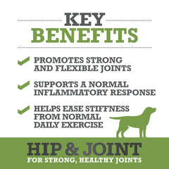 WINPRO dog joint soft chews serving dish shows daily serving for active dogs.