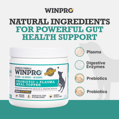 WINPRO Dog Probiotic Powder in bowl with kibble suggests seamless meal enhancement.