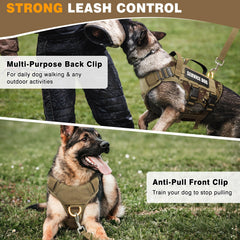 WINSEE three D-rings offer versatile leash attachment options for every activity.