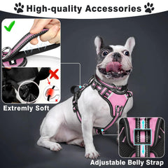 WINSEE 3-in-1 pink harness back view with secure leash attachment